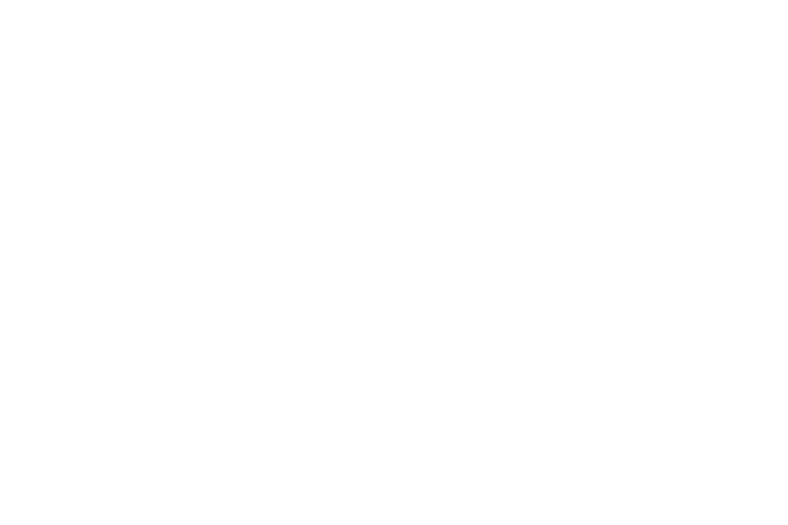 Next Level Beauty logo